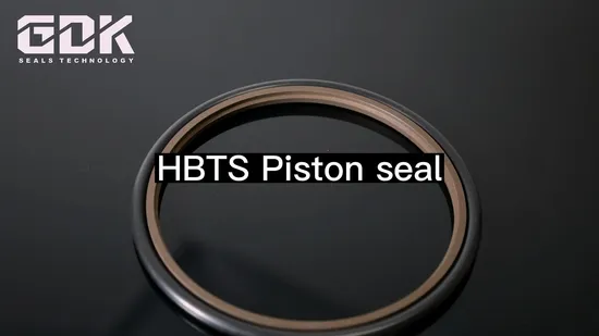 Hbts Gsj Bsj 40% Bronze PTFE Hydraulic Cylinder Reciprocating Motion Rod Buffer Shaft Oil Plastic Rubber Mechanical Step Seal