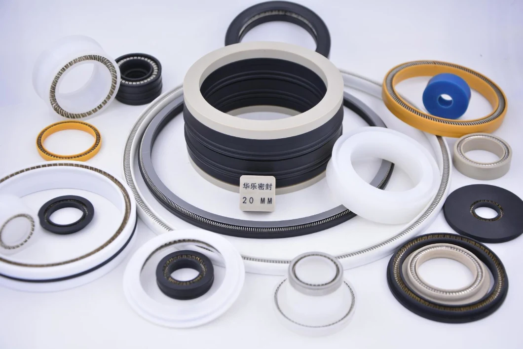 Walle Rotary Plunger Metering Pump Seal